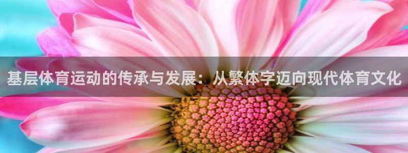风速体育苹果手机下载app：基层体育运动的传承与发展：从繁体字迈向现代体育文化