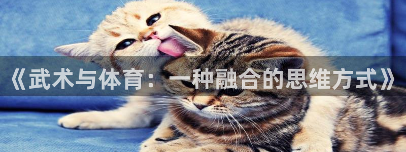 风速体育直播app官方入口
