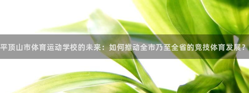 风速体育在线