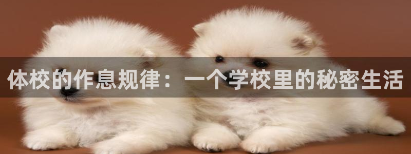风速体育如何下载：体校的作息规律：一个学校里的秘密生活